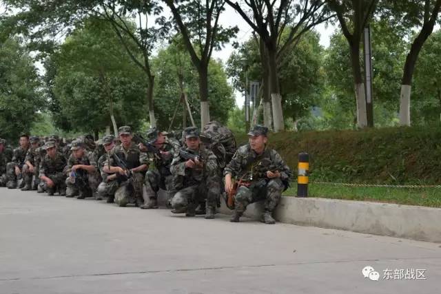 宝鸡第21集团军移防新动向，深度解读与前瞻，宝鸡第21集团军移防新动向深度解读与前瞻分析