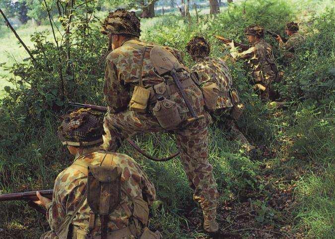 土色迷彩服背后的兵种之谜，土色迷彩服背后的兵种探秘