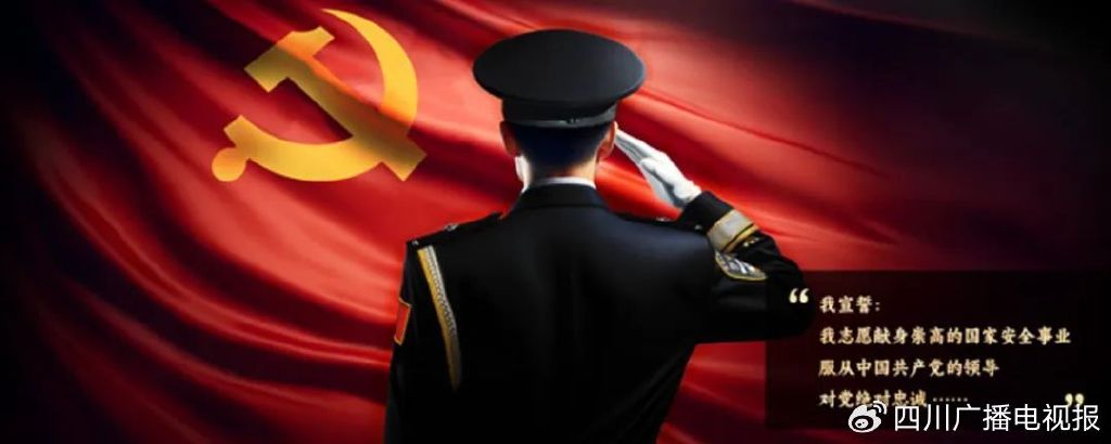 党飞在国安局的地位与待遇探究，党飞在国安局的地位与待遇深度解析