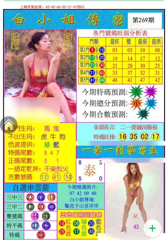 王中王白姐一肖中特，探寻传奇背后的故事，传奇人物王中王白姐，探寻一肖中特的背后故事