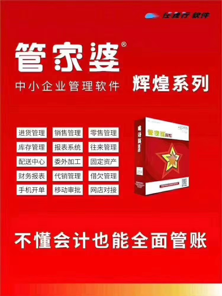 管家婆正版管家的全面解析，管家婆正版管家的全面解析与功能概览