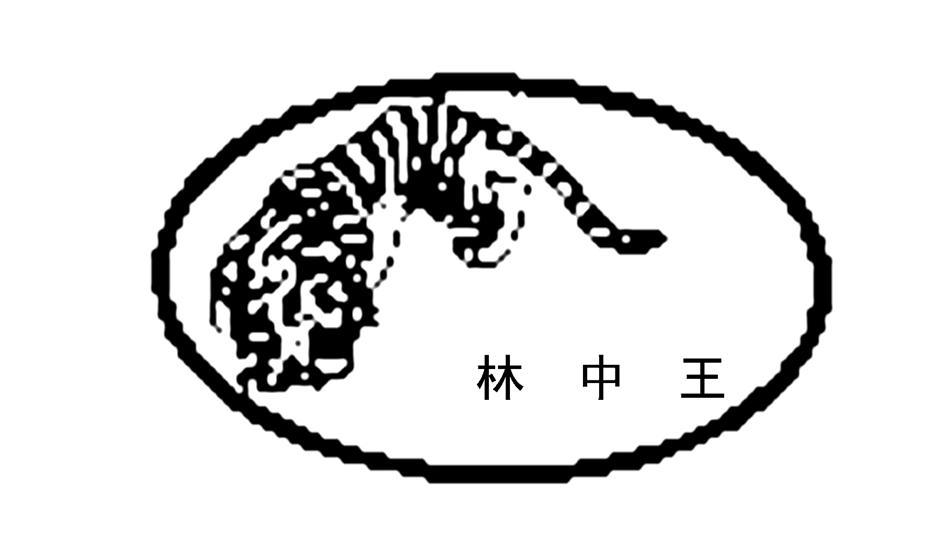 林中之王王中王——揭秘生肖之王的神秘面纱，揭秘生肖之王，森林霸主背后的神秘面纱