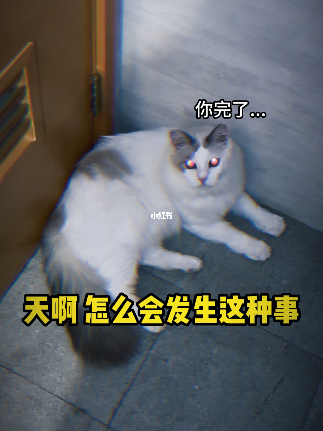 今天发生了什么重要事件，今日重大事件概述