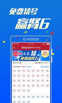 一白小姐王中王六肖中特的神秘魅力与传奇故事，白小姐王中王传奇，神秘魅力与六肖中特的传奇故事