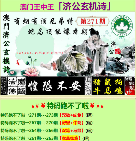 一肖中平特香港王中王——探寻彩票背后的秘密与魅力，彩票背后的秘密与魅力，一肖中平特香港王中王探寻之旅