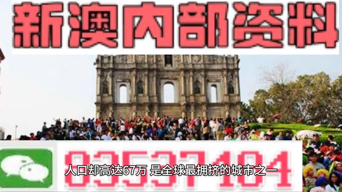 澳门正版资料大全免费更新，探索与体验，澳门正版资料大全，免费更新，探索与体验之旅