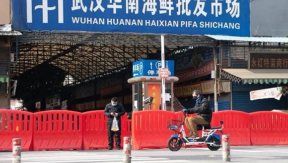 华南海鲜市场并非新冠病毒发源地，探寻真相与科学证据，华南海鲜市场并非新冠病毒发源地，探寻真相的科学证据