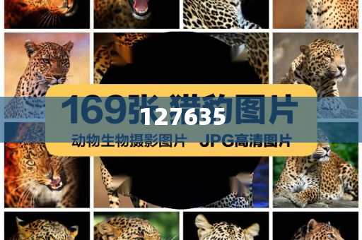 7777788888精准新传真