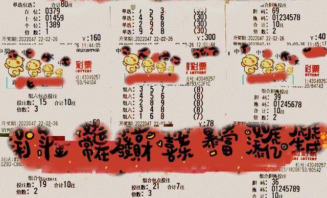 探寻神秘生肖之旅