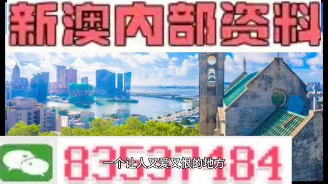 新澳门码精准资料，探索与解读，新澳门码精准资料深度解读与探索