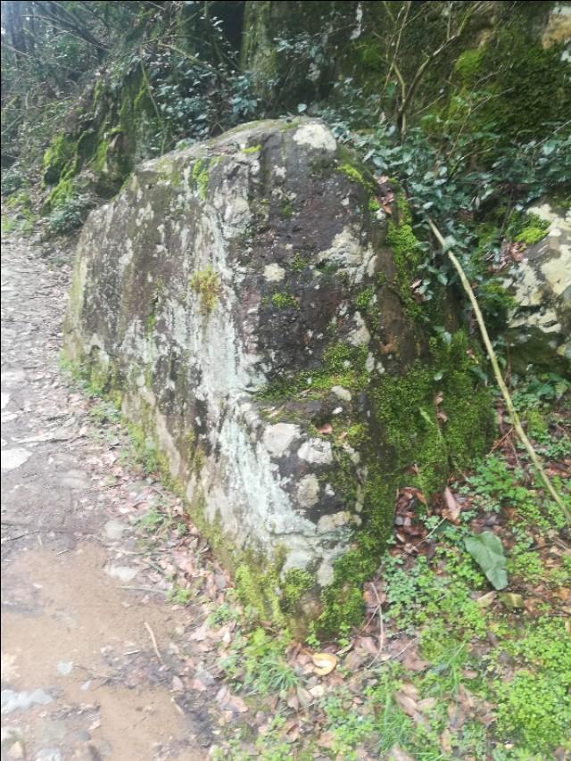 神秘预言与传奇色彩揭秘