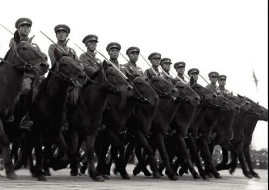 阅兵方队中的多彩兵种，展现中国力量的不同面孔，阅兵方队中的多彩兵种，展现中国力量的多元面孔