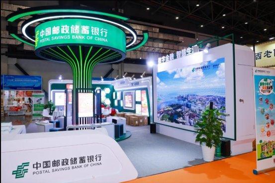 新澳2025今晚开奖结果揭晓，探索彩票背后的故事与期待，新澳2025今晚开奖揭晓，彩票背后的故事与期待揭秘