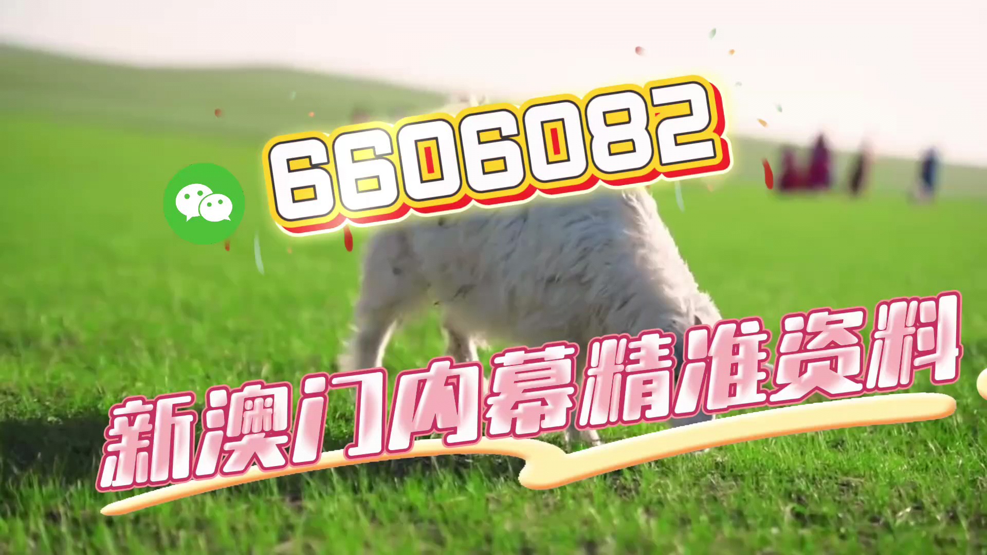 一肖一码澳门一肖，探索背后的文化魅力与神秘色彩，澳门一肖一码，文化魅力与神秘色彩探索