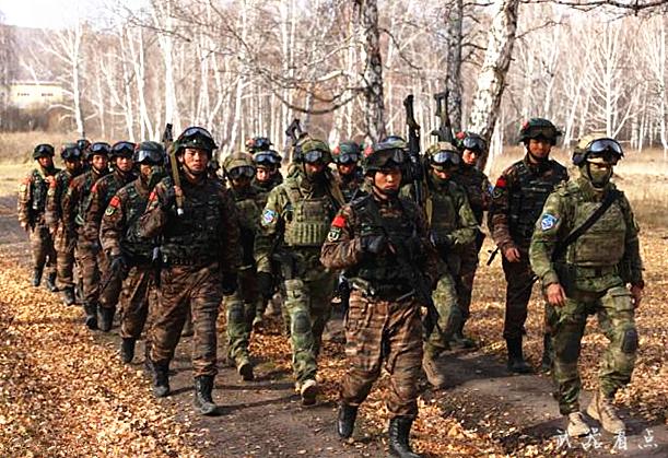 中国人民武装警察部队特种警察学院地址及其重要性，中国人民武装警察部队特种警察学院地址与学院的重要性分析