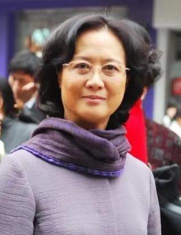 穿军装演出是否违法？解读相关法律规定与情境分析，穿军装演出是否违法？法律解读与情境分析探讨