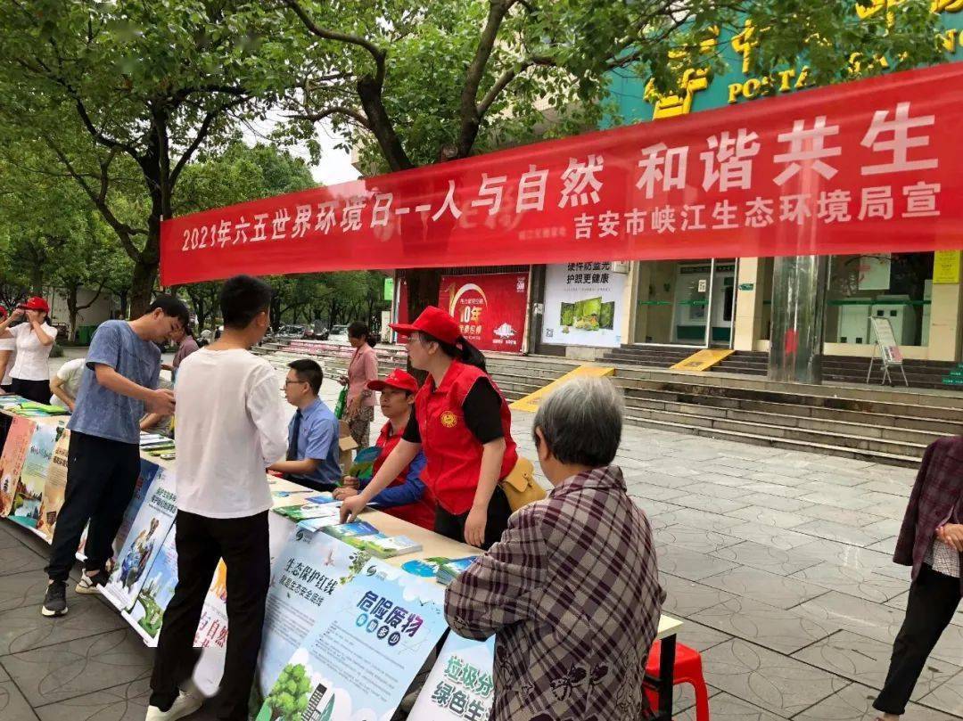 澳门六月五号开奖结果全面解析，澳门六月五号开奖结果深度解析
