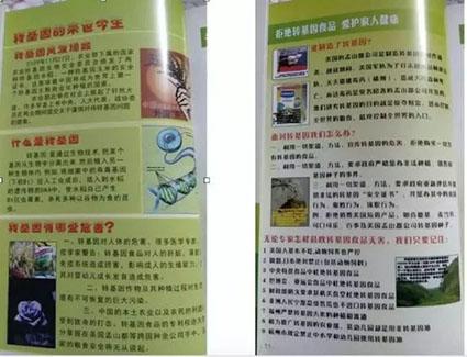 新闻摘抄，十一月的重要时刻，十一月重要时刻回顾