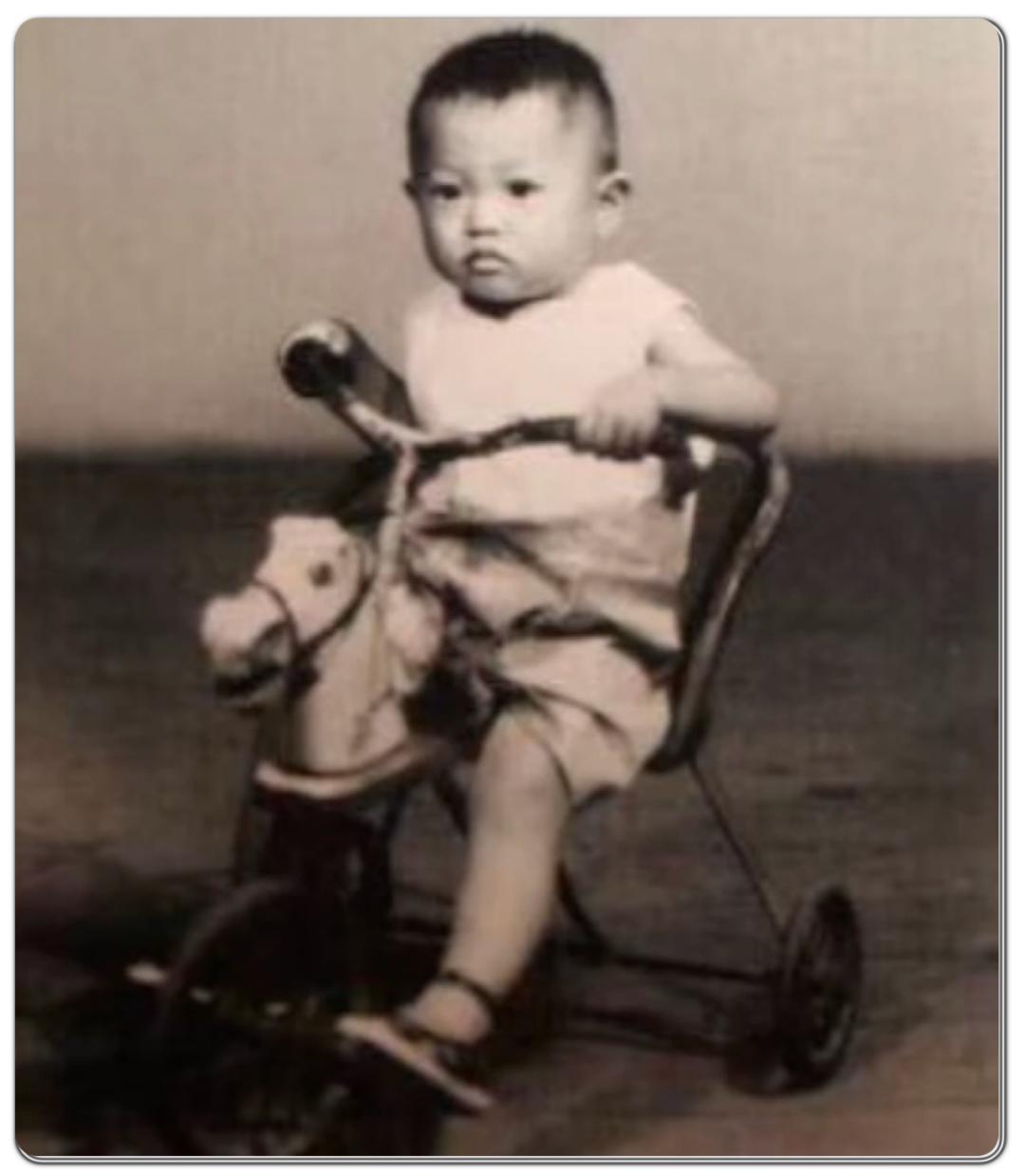 丁志诚前妻的照片，回忆与思索，丁志诚前妻的照片，回忆与情感的交织