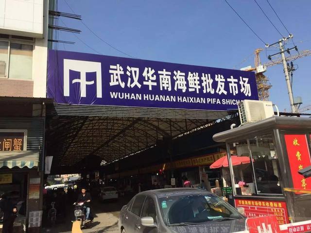 武汉华南海鲜市场，一座城市的鲜活记忆，武汉华南海鲜市场，城市鲜活记忆的缩影