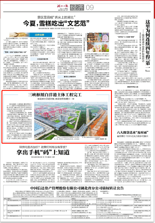 聚焦时事热点，解读新闻背后的故事——7月5日报道汇总，解读时事热点，新闻背后的故事——7月5日报道概览