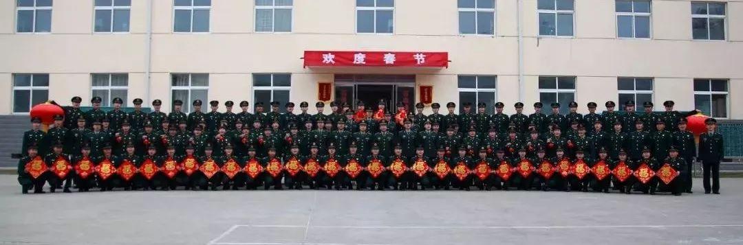 西部战区陆军兵力概况，西部战区陆军兵力概况概览