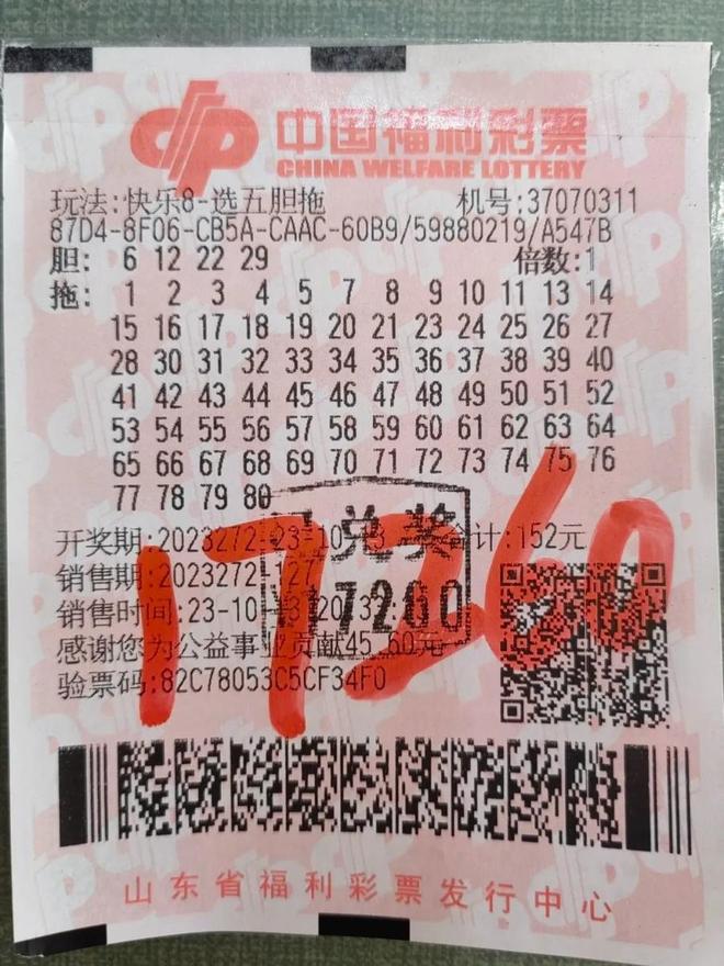 探索92平特一肖王中王的神秘面纱,揭秘,92平特一肖王中王的神秘面纱