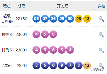 新澳门六开彩开奖结果2020年回顾与展望,澳门六开彩开奖结果回顾与展望,2020年回顾与未来展望