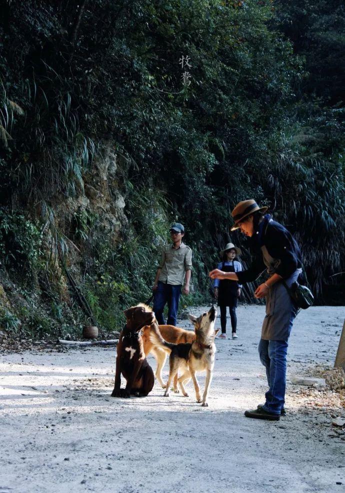 天涯论坛最惊人的十大神贴原帖，天涯论坛最惊人的十大神贴揭秘