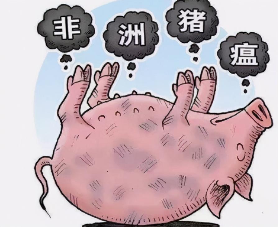 最新国际新闻聚焦非洲灾难,挑战与希望并存,非洲灾难最新国际新闻聚焦,挑战与希望并存