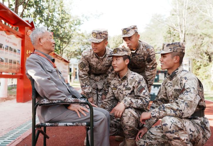 国外老兵打新兵,现象背后的深度解析,国外老兵打新兵现象深度解析,原因与影响探究