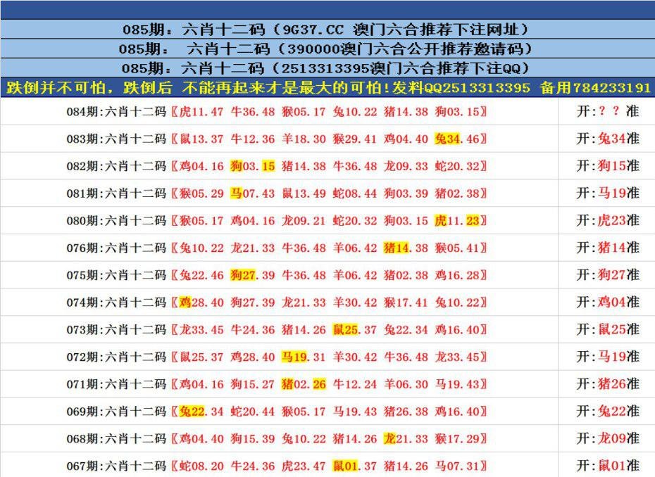 澳门六合资料免费大全——探索澳门博彩文化的深度与广度,澳门博彩文化深度探索,六合资料免费大全