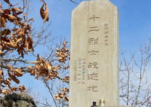 揭秘100毫米迫击炮的威力,揭秘,100毫米迫击炮的惊人威力