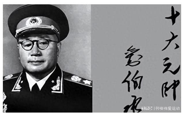 打仗最厉害的大元帅,战略与勇气的传奇,战略与勇气的传奇,最厉害的大元帅征战传奇