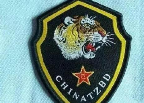 空降兵臂章,荣耀的象征与力量的展现,空降兵臂章,荣耀与力量的标志