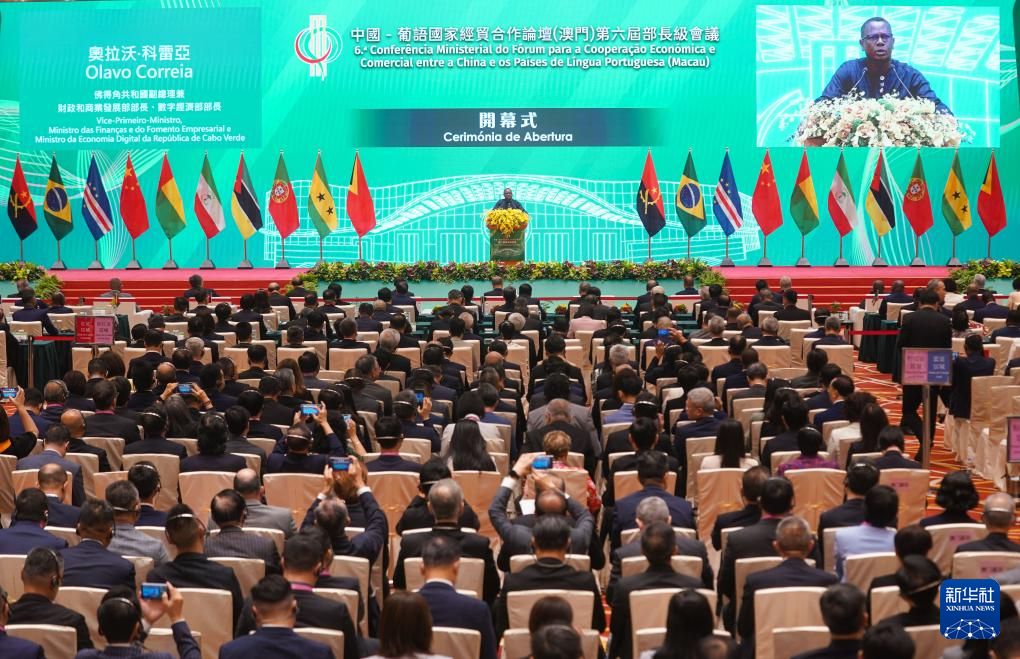 澳门论坛中的数字化转型,探讨IDRE的角色与影响,澳门论坛数字化转型,IDRE的角色与影响探讨