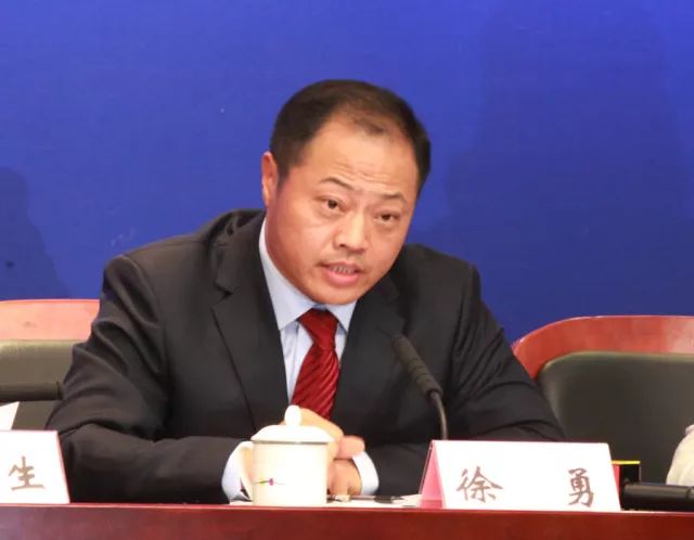 海峡两岸的王丰,文化交流的使者与桥梁,海峡两岸的王丰,文化交流的使者,搭建两岸桥梁的先锋