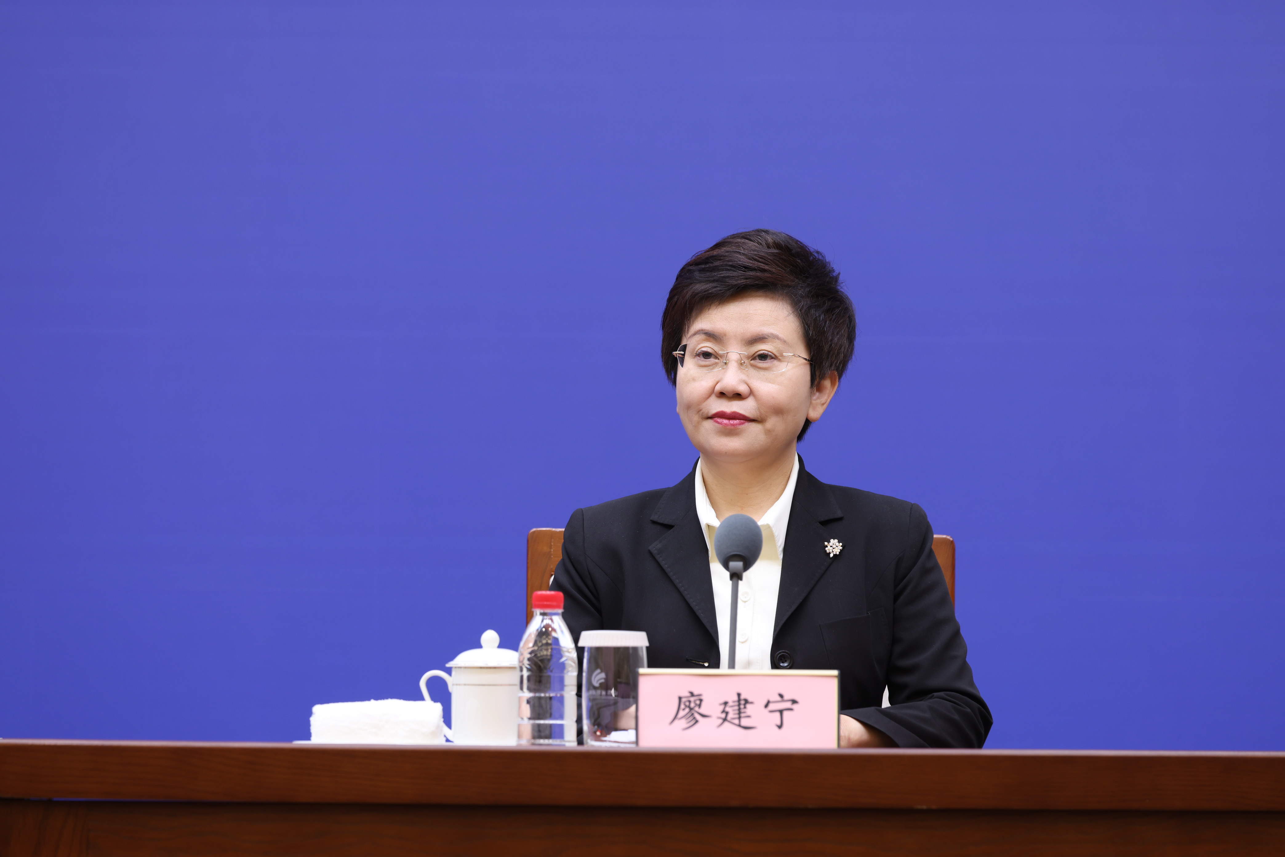 海峡两岸的王丰,文化交流的使者与桥梁,海峡两岸的王丰,文化交流的使者,搭建两岸桥梁的先锋