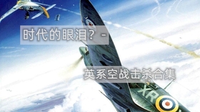 A-10攻击机使用感受,震撼的空战体验与独特战术运用,A-10攻击机的震撼空战体验与独特战术运用感受