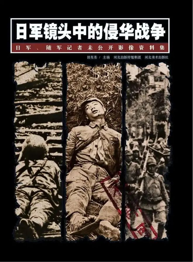 中日关系视角下的理性探讨，日本网友称中日再交战必败的观点分析，中日关系视角下的理性探讨，日本网友关于中日交战观点的深入分析