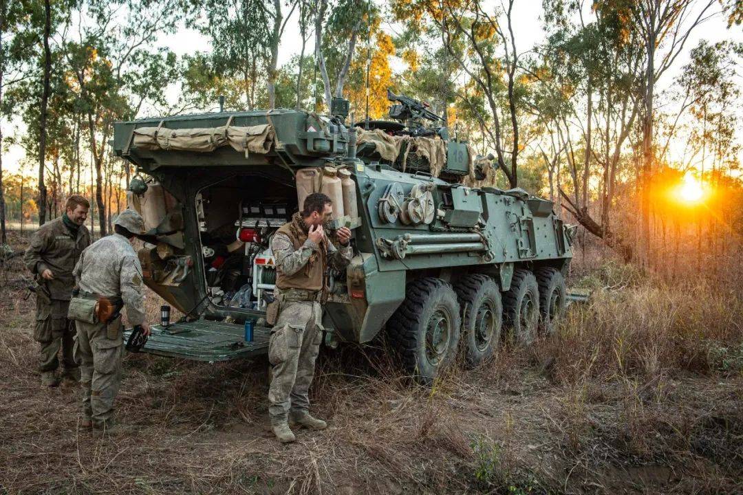 新西兰军事概览,新西兰军事概览概览与特点分析