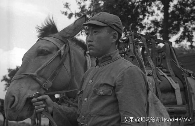 星空迷彩军衔位置,探索军事荣耀与天文浪漫交织的世界,星空迷彩军衔,军事荣耀与天文浪漫的交织世界探索