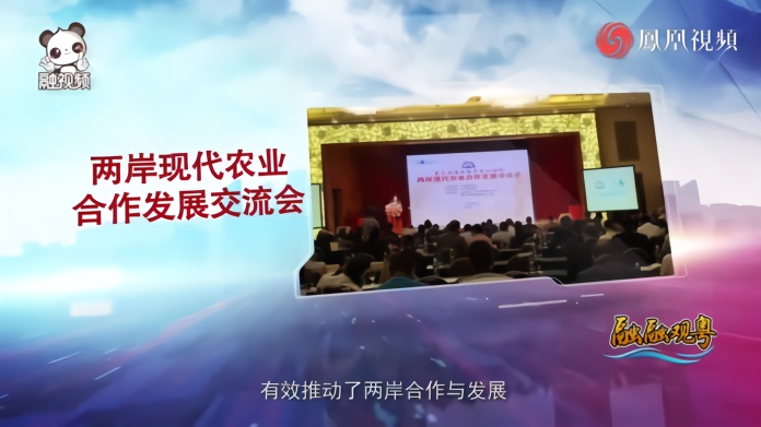 今天海峡两岸视频,深化交流,共谋发展,海峡两岸深化交流,共谋未来发展日