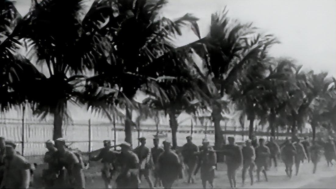 解放海南岛战役全过程,解放海南岛战役全过程回顾