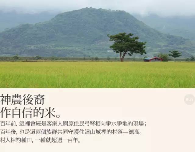 台湾经济的五大支柱产业,驱动力与未来发展,台湾五大支柱产业驱动力及未来发展展望