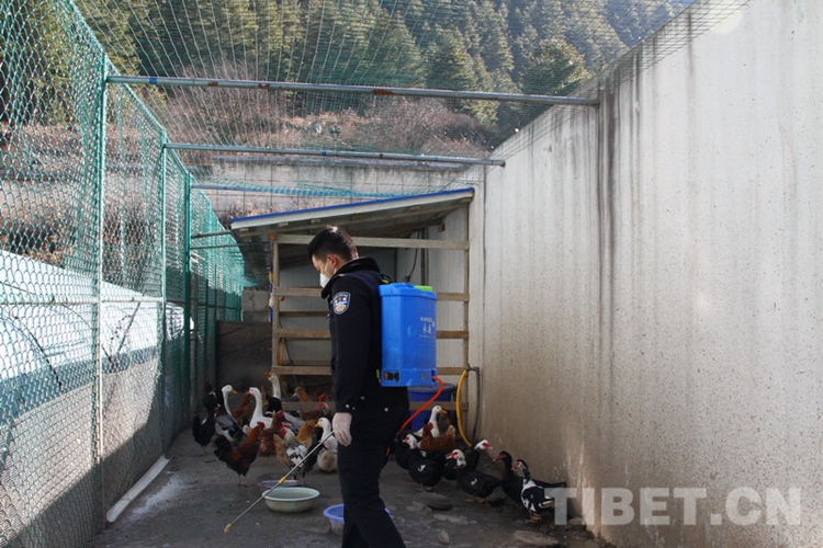 亚东边防营,边疆的守护者,亚东边防营,边疆的忠诚守护者