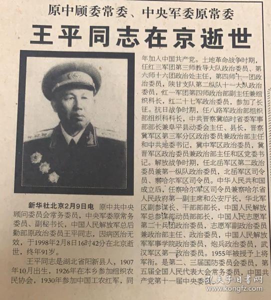 王王中王平特一肖，探寻多元身份下的独特魅力，多元身份下的王王中王平特一肖，独特魅力探寻