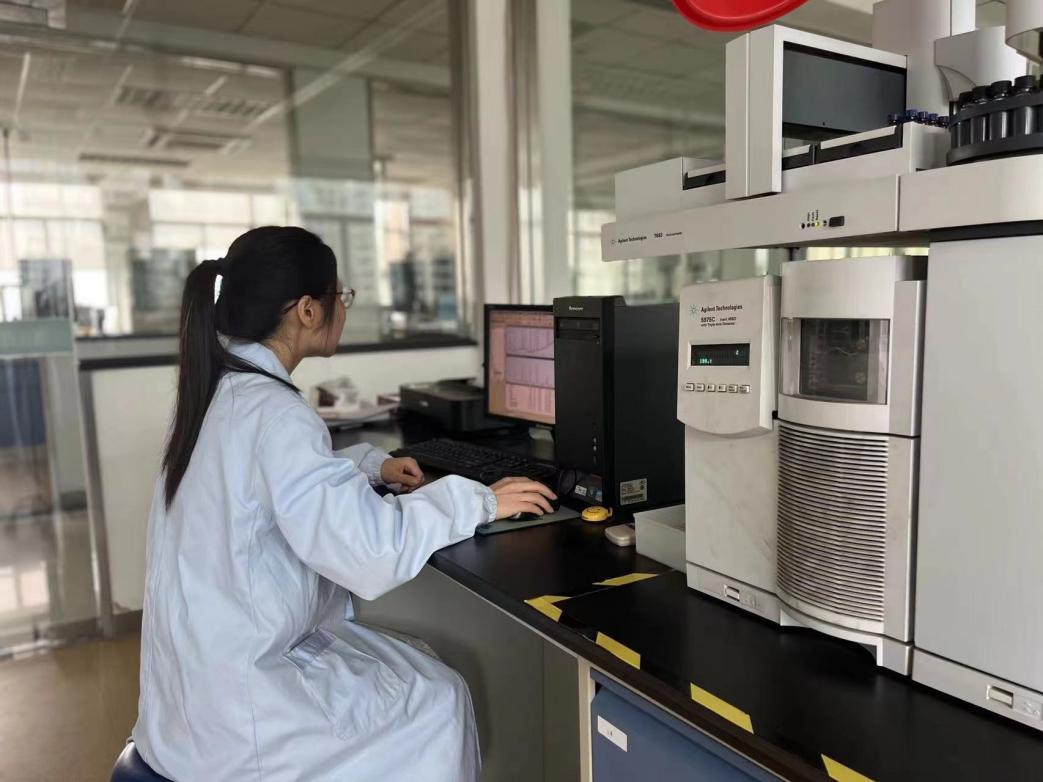 玻璃子弹为何被禁用，探究其背后的原因与影响，玻璃子弹被禁背后的原因与影响探究